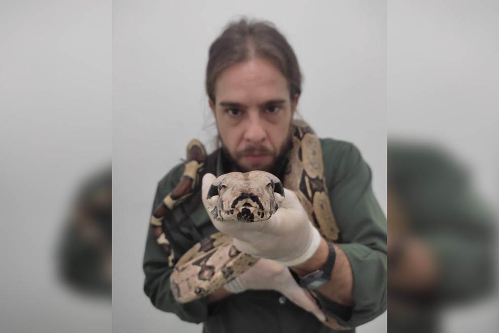 Médico veterinário de Rio Preto é especializado em animais silvestres e exóticos — Foto: Arquivo Pessoal 