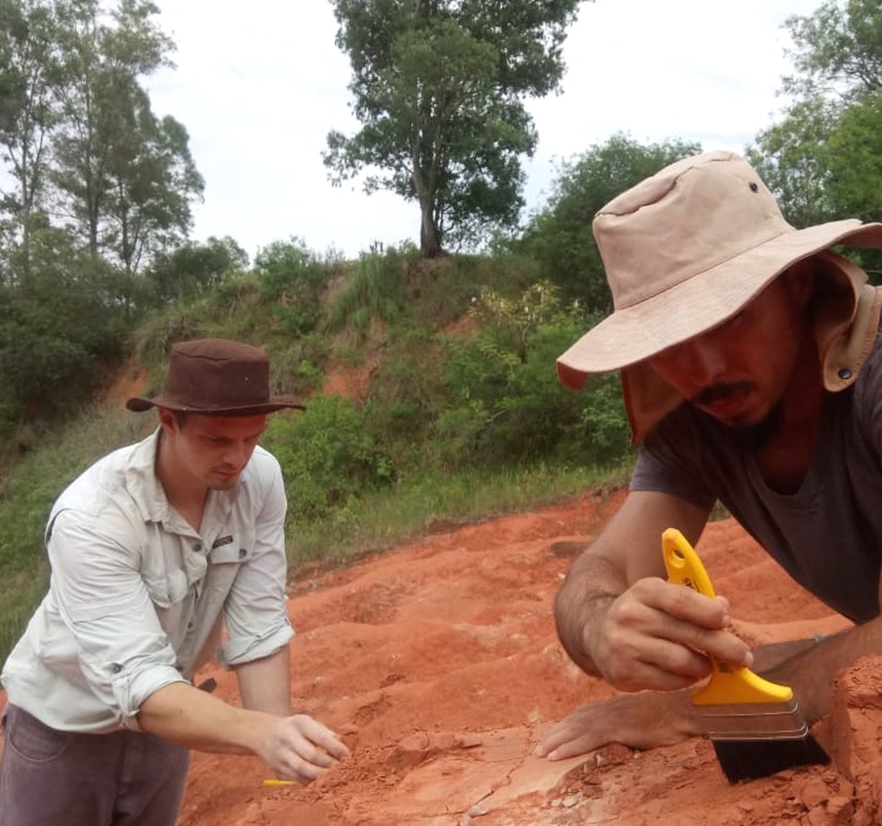 Fóssil foi encontrado durante expedição em Agudo, no ano passado — Foto: Janaína Dillmann 