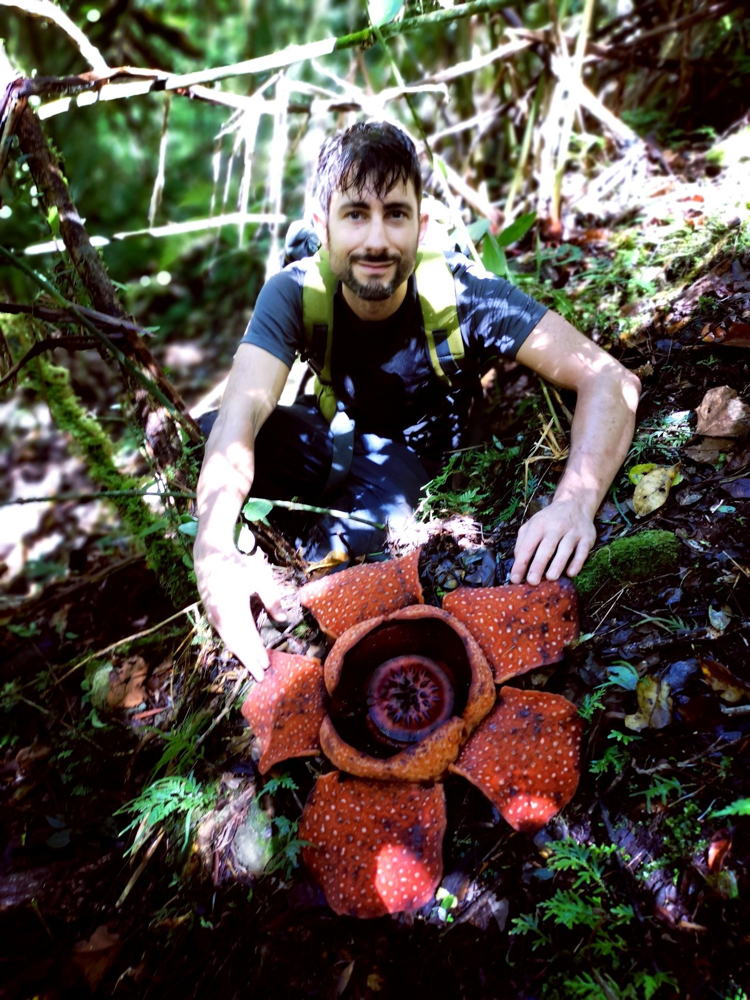Chris Thorogood posa junto ao espécime da Rafflesia banaoana, encontrada na floresta de Luzon, nas Filipinas  (Foto: @thorogoodchris1 / Reprodução Twitter)