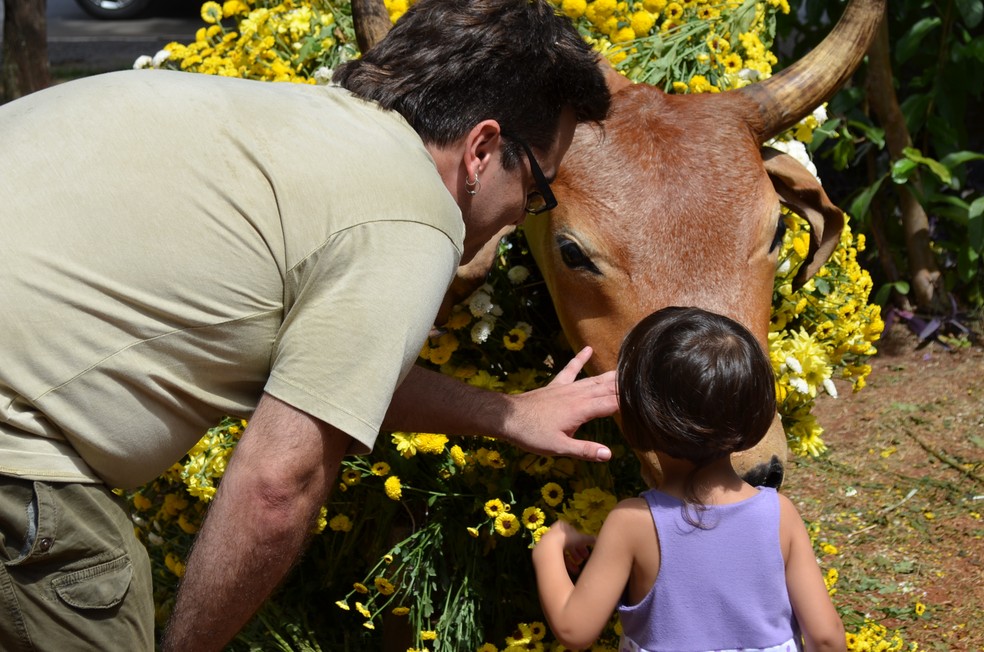 EdiÃ§Ã£o de 2018 da Festa do Boi deve receber 330 mil visitantes â€” Foto: Tiago GonÃ§alves/G1