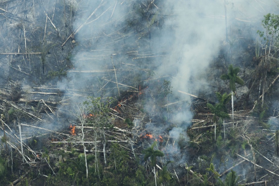 Área de floresta desmatada e queimada em Lábrea, no sul do Amazonas