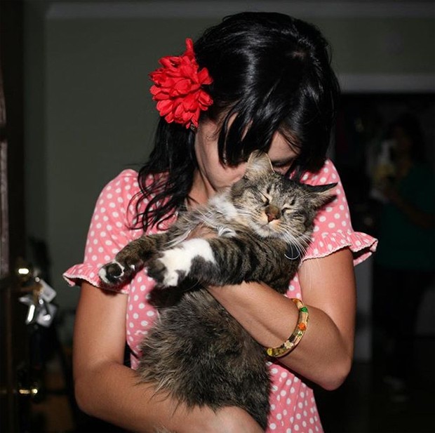 Katy Perry lamenta a morte da gata Kitty Purr (Foto: Reprodução / Instagram)