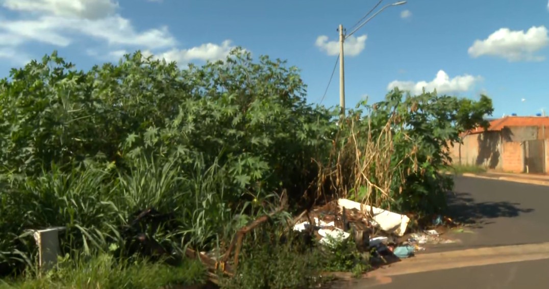 Epidemia de dengue: lixo em terrenos e imóveis fechados preocupam em Araraquara 
