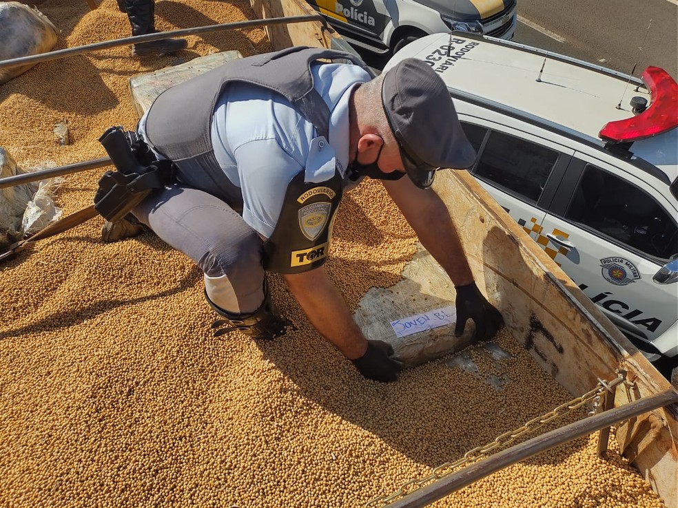 Fardos de maconha estavam escondidos em meio à carga de grãos de soja — Foto: Polícia Militar Rodoviária