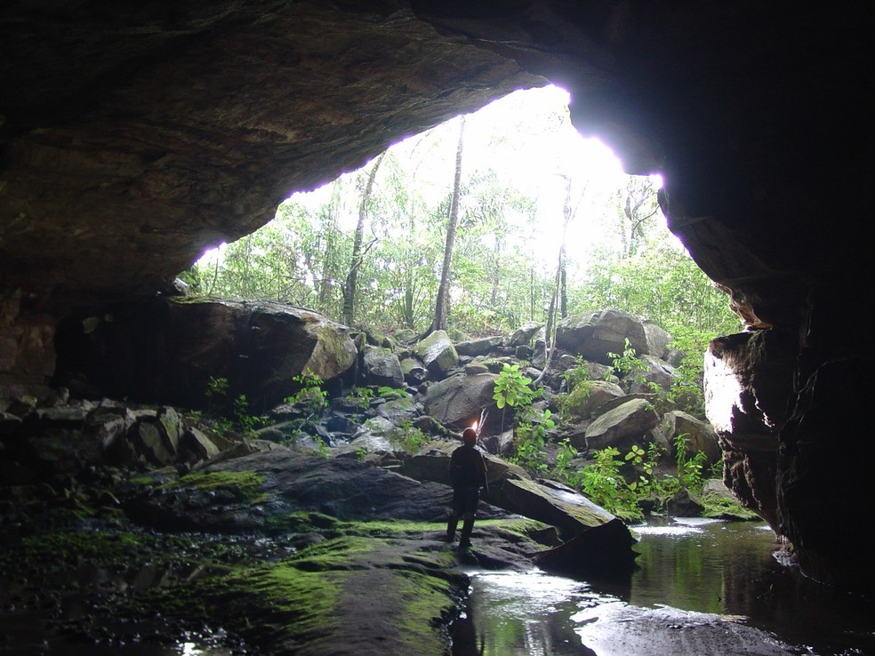 Biólogo pesquisa animais que só vivem em cavernas em MT — Foto: Rodrigo Lopes Ferreira/Arquivo pessoal