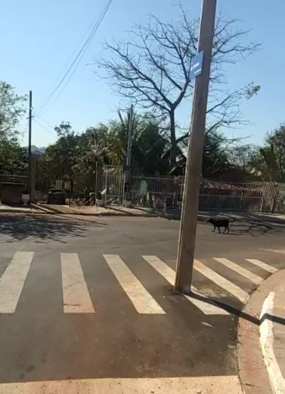 Poste foi instalado sobre faixa de pedestres em Americana (SP) — Foto: Eduardo Canteiro