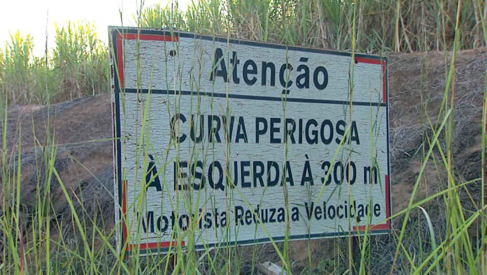 Mato alto cobre placa sinalizando curva perigosa na Estrada do Leite em Batatais- SP (Foto: Luciano Tolentino/EPTV)