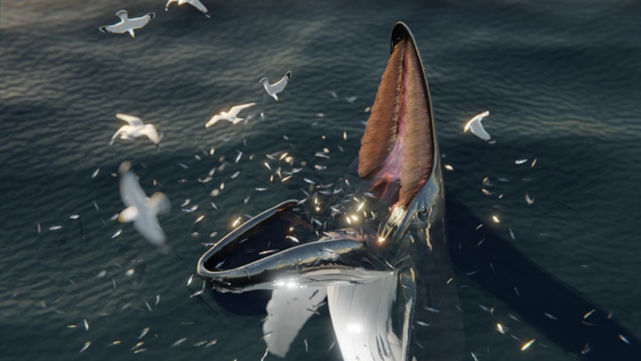 Uma reconstrução digital da alimentação de uma armadilha de baleia jubarte