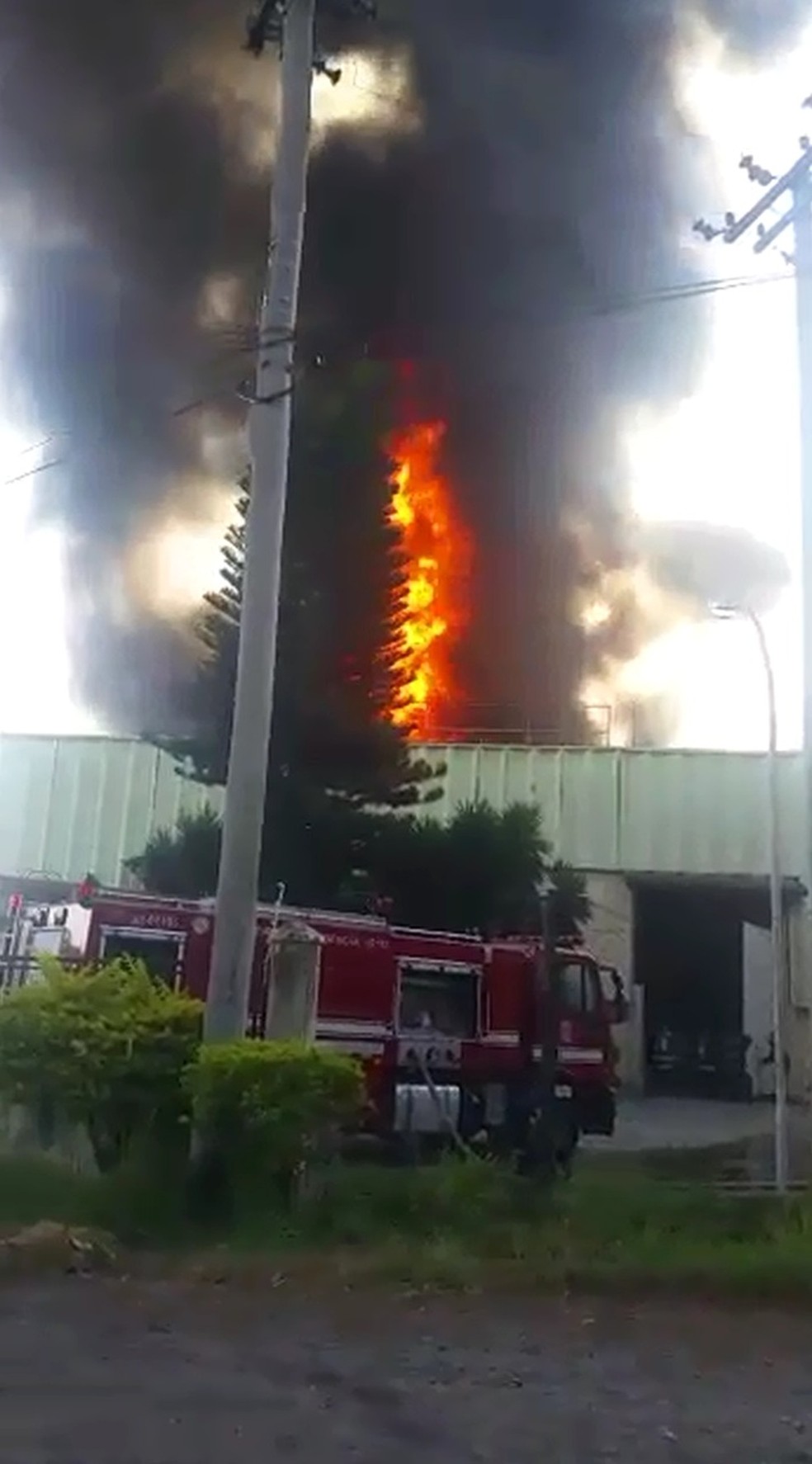 Fogo atingiu fábrica, em Campinas (Foto: Daniel Cirillo / Arquivo Pessoal)