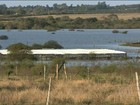 Cheia do Rio Uruguai devasta pastagens e lavouras no RS
