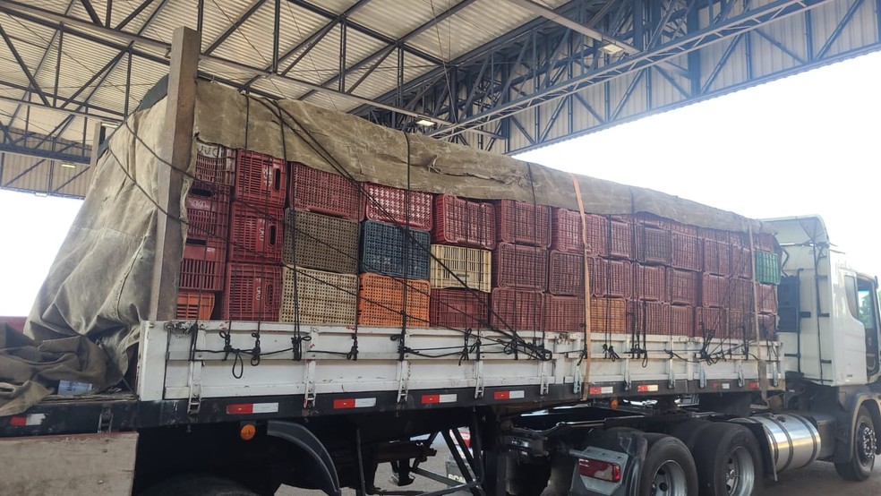 Caminhão foi abordado no posto policial da PRF na BR-277, em Cascavel  — Foto: Polícia Rodoviária Federal (PRF) 