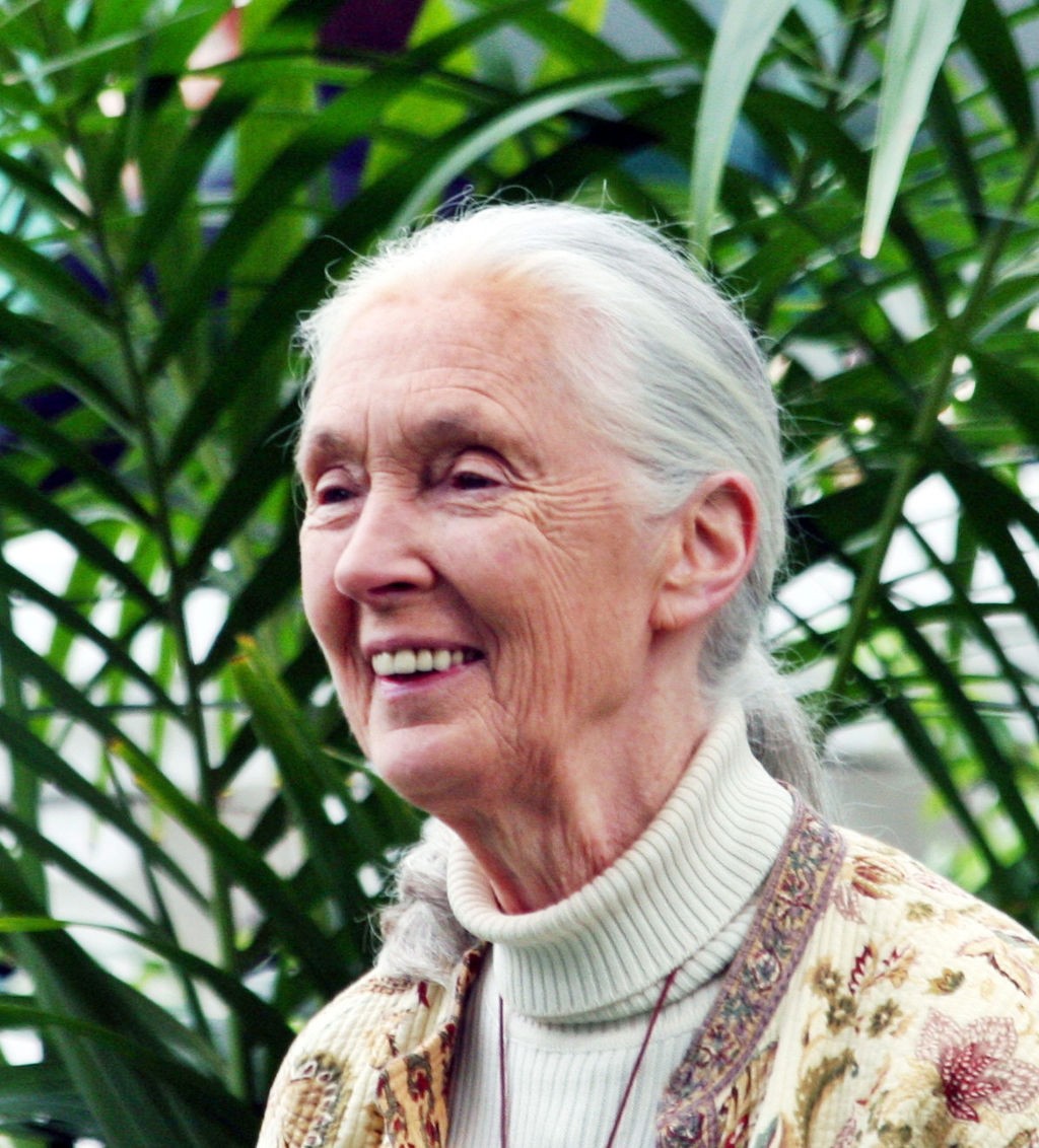 Jane Goodall (Foto: By Floatjon (Own work), via Wikimedia Commons)