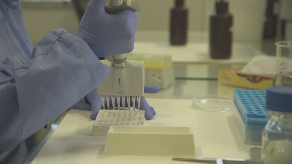 Pesquisadores analisam amostras do novo coronavírus — Foto: TV Globo/Reprodução