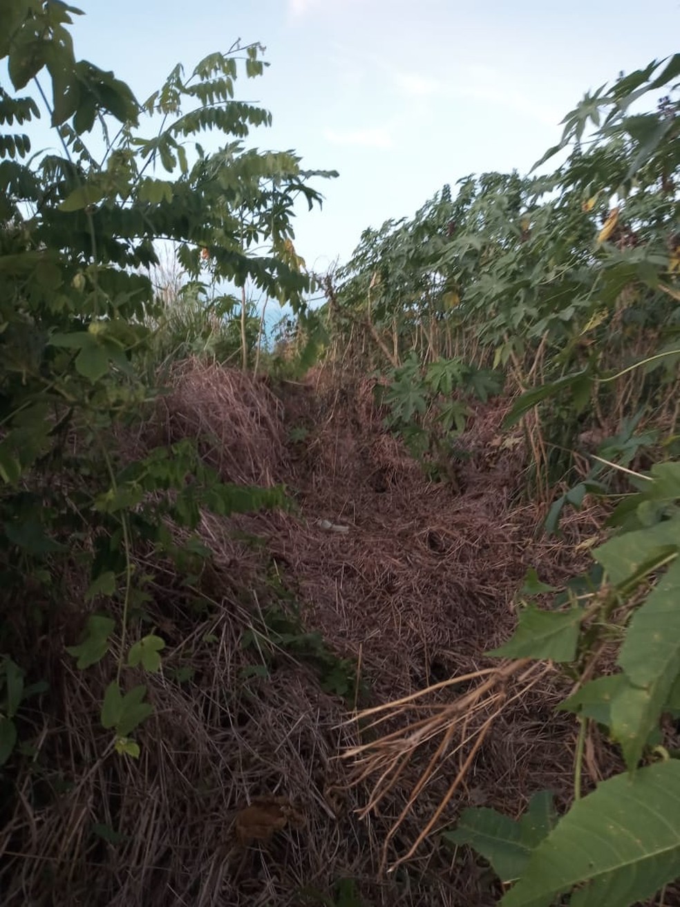 Corpo de pastor desaparecido há quatro dias é encontrado às margens da BR-222 no Maranhão — Foto: Divulgação/PRF