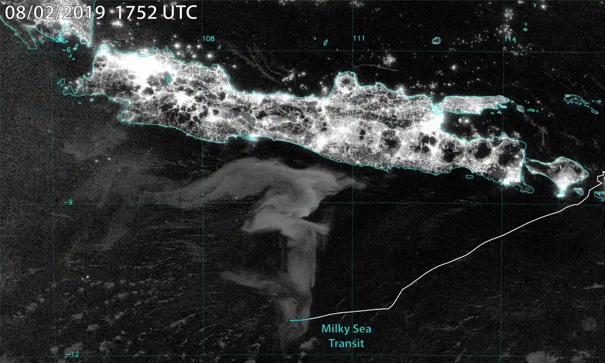 Imagens de satélite da noite de 2 de agosto de 2019 mostram mar leitoso bioluminescente de 100 mil km²  ao sul de Java, na Indonésia (Foto: Steven Miller, Leon Schommer e Naomi McKinnon, Australian National University, Canberra)