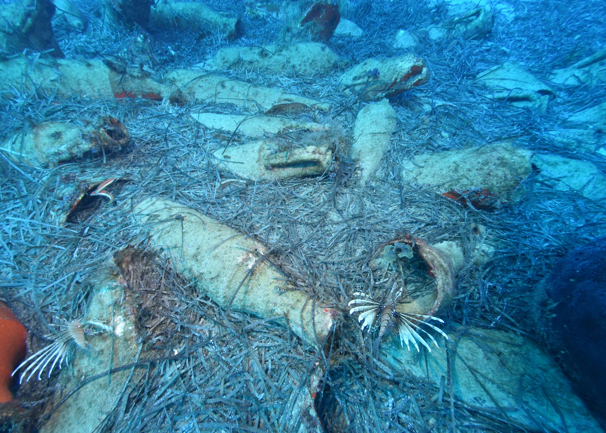 ânfora chipre naufrágio roma (Foto: Departamento de Antiguidades da República do Chipre)