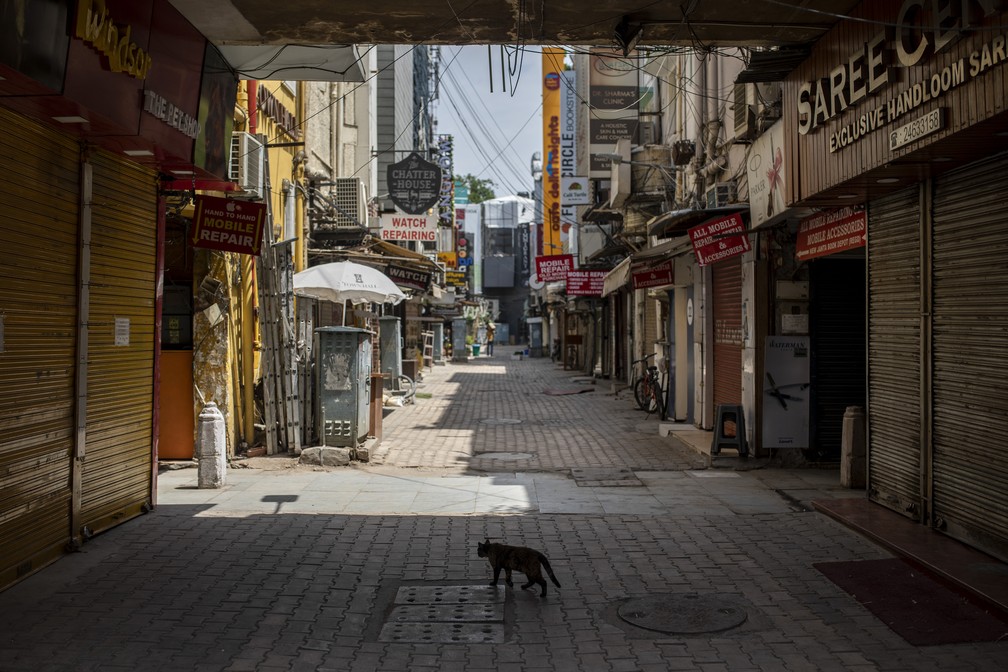 Gato caminha em mercado deserto durante lockdown de fim de semana em Nova Delhi, capital Índia, no sábado (17 de abril de 2021) devido à escalada de novos casos de Covid-19 em meio à pandemia do novo coronavírus — Foto: Altaf Qadri/AP