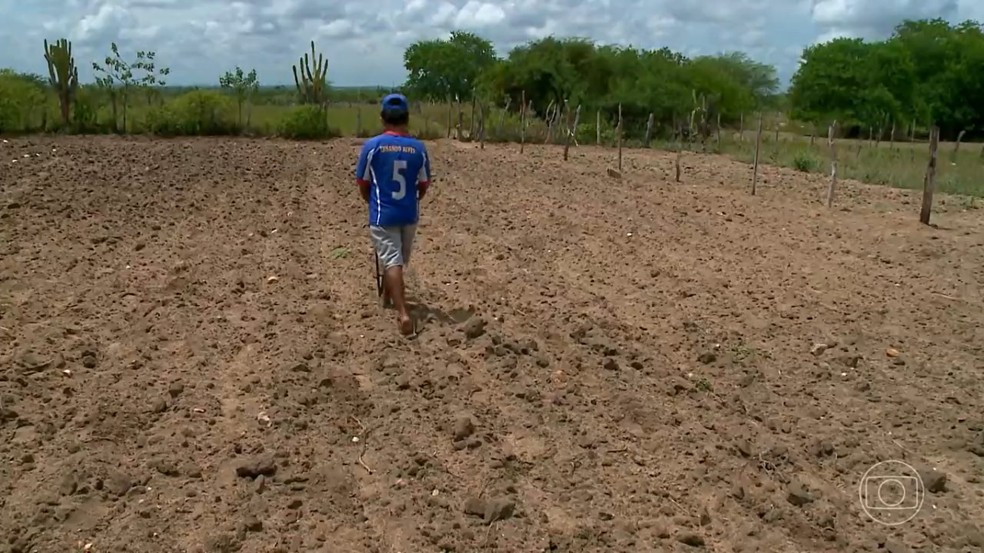 Agricultores sofrem para irrigar plantações durante a estiagem no Sertão de Alagoas — Foto: Reprodução/TV Globo