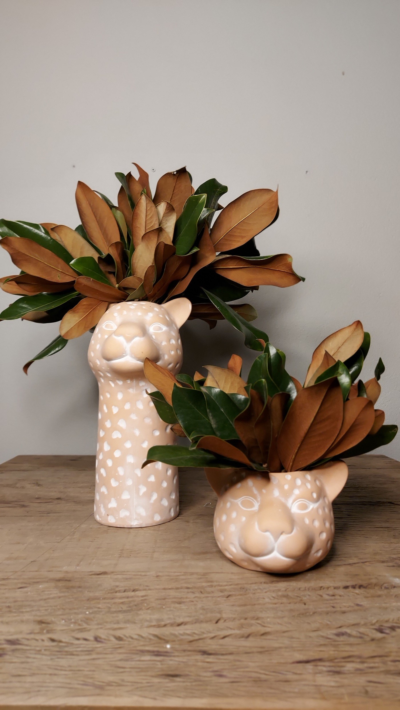 Vasos e cachepôs com formatos diferentes: veja ideias para se inspirar (Foto: Divulgação/ Galeria Botânica)