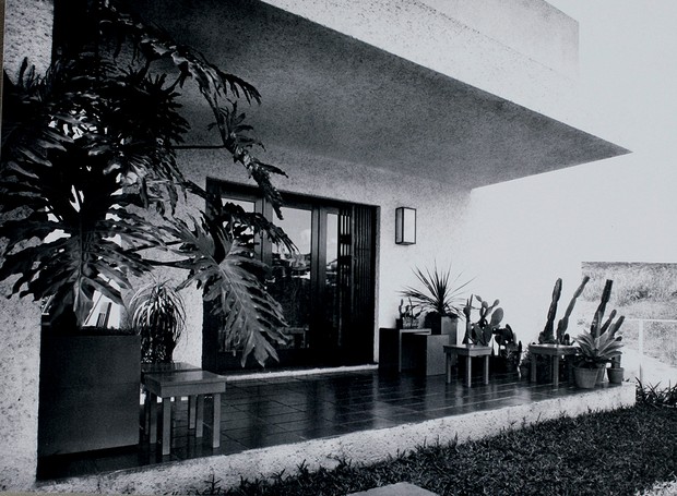 Paisagismo com cactos de Mina Klabin na Casa Modernista, SP, projetada em 1930 por seu marido, o arquiteto Gregori Warchavchik (Foto: Fernando Donasci/Editora Globo)