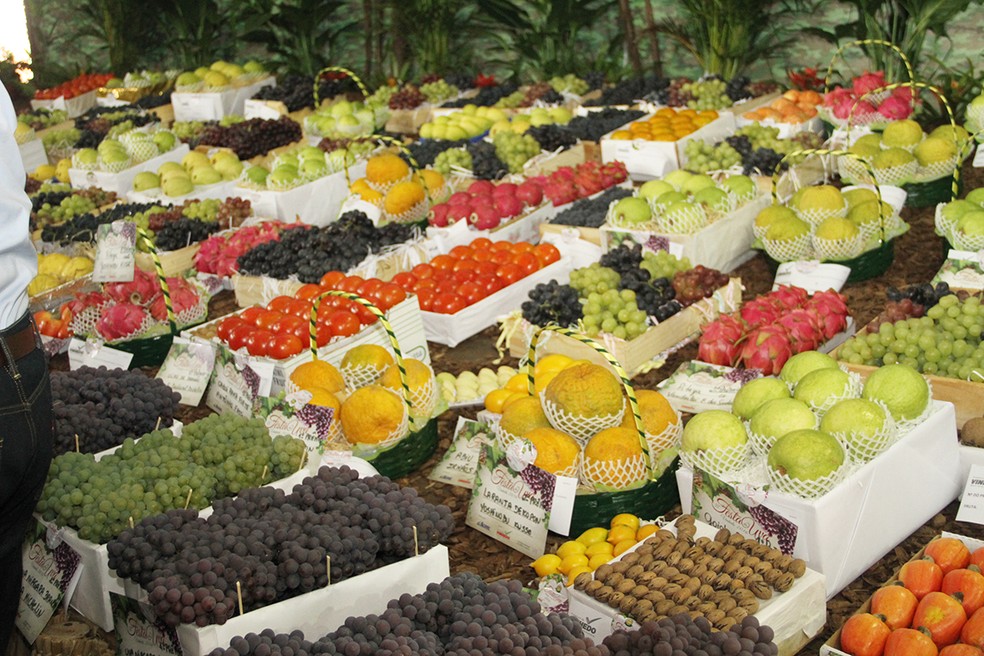 Venda de frutas é uma das atrações na Festa da Uva  — Foto: Prefeitura de Vinhedo