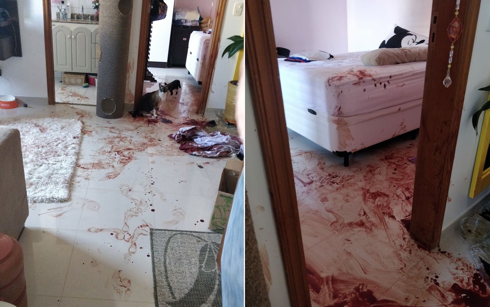 Imagens mostram o sangue na sala e quarto do apartamento onde Paula vivia â?? Foto: PolÃ­cia civil/DivulgaÃ§Ã£o