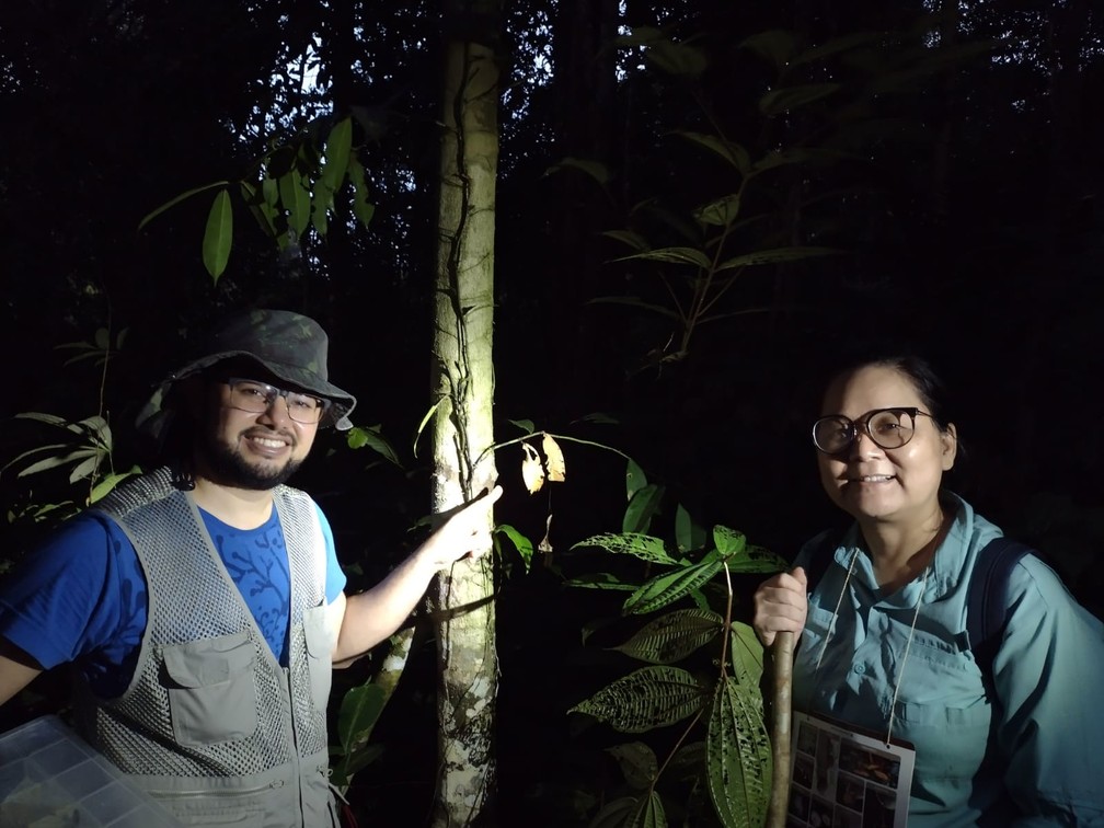 Pesquisadores durante expedição na Amazônia em busca de fungos que "brilham no escuro". — Foto: Arquivo pessoal