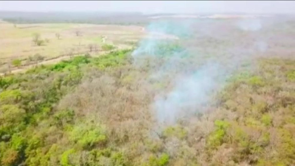 Focos de incêndio em área de vegetação fechada — Foto: Reprodução/TV TEM