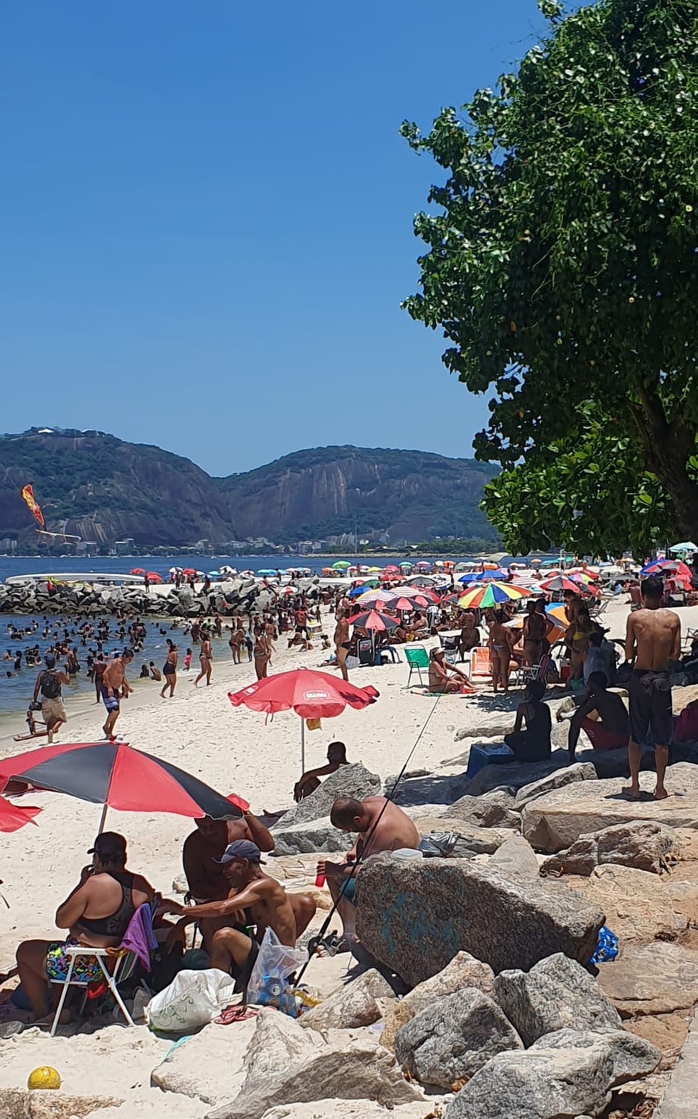 Praia do Flamengo cheia neste domingo — Foto: Eliane Santos/g1
