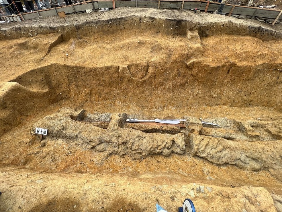Espada japonesa de 228 centímetros foi encontrada dentro de túmulo em janeiro de 2023 — Foto: PJT via Wikimedia Commons sob CC0 1.0 Universal