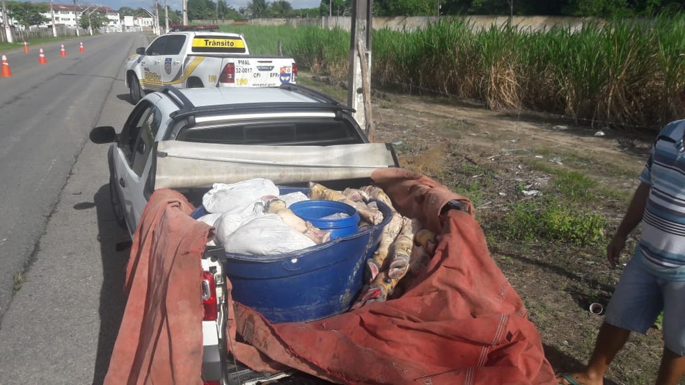 Vísceras para consumo humano foram encontradas na carroceria de carro — Foto: BPRv
