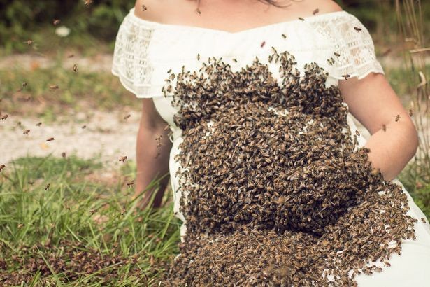 Emily com a barriga coberta por abelhas (Foto: Reprodução Facebook)