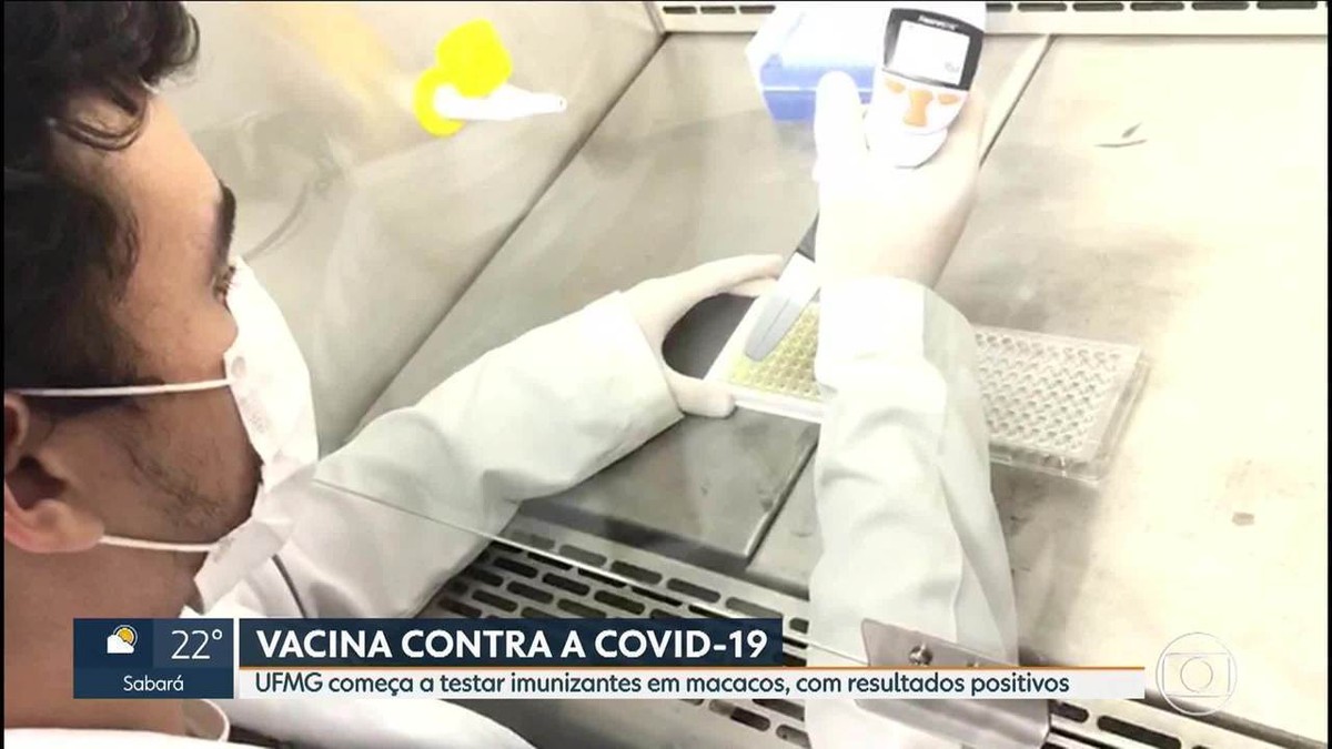 UFMG começa testes em macacos de vacina contra Covid-19 que pode se tornar 1ª brasileira