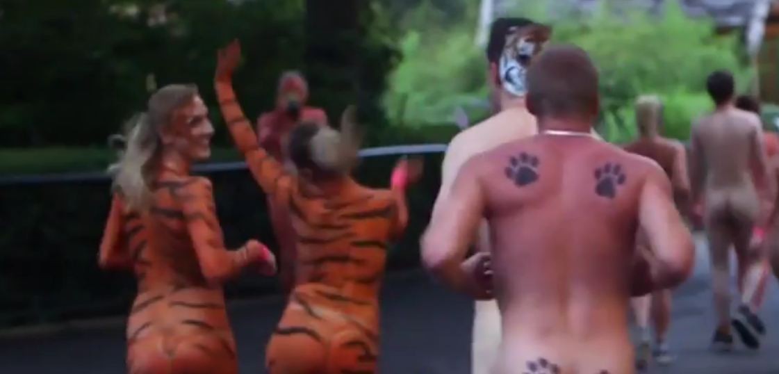 A corrida Streak for Tigers (Foto: Reprodução)