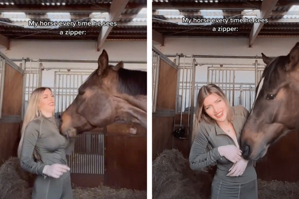 Influencer alemã viraliza ao mostrar cavalo ousado  (Foto: Reprodução/TikTok)