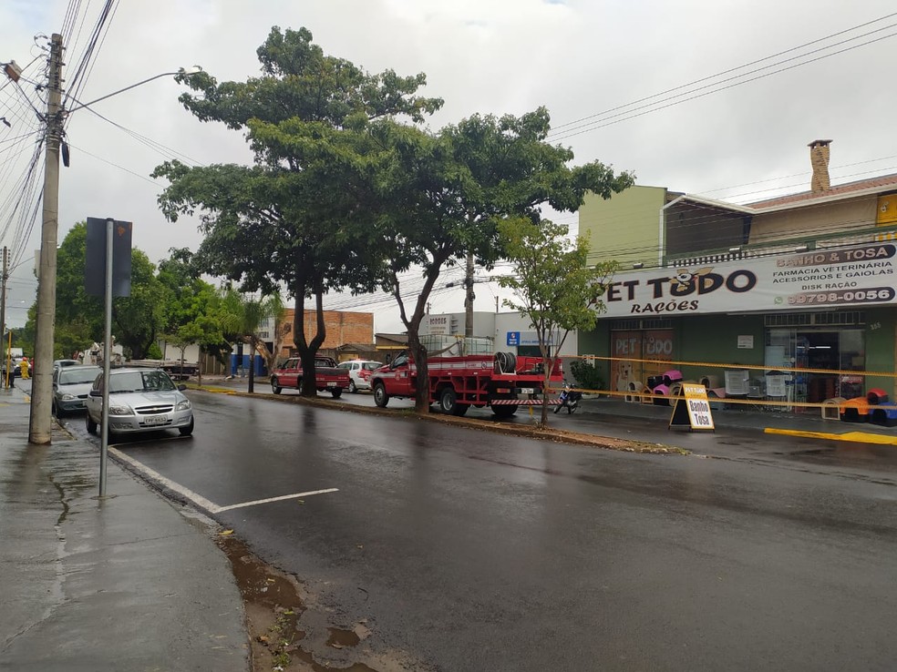 Caminhão-baú ficou enroscado em árvore na Avenida Paulo Marcondes — Foto: Mariana Gouveia/TV Fronteira