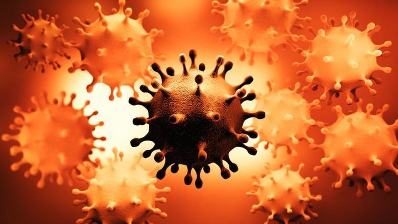 Alguns vírus conseguem se integrar em nosso genoma, enquanto outros ficam apenas 'escondidos' nas células (Foto: Getty Images via BBC News)