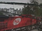 Trem atinge caminhão que parou nos trilhos e motorista escapa ileso; vídeo