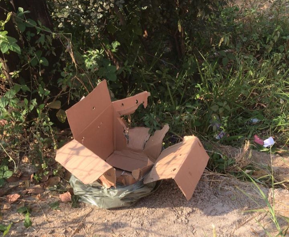 Bebê é encontrado em caixa de papelão em Ipatinga — Foto: Redes Sociais 