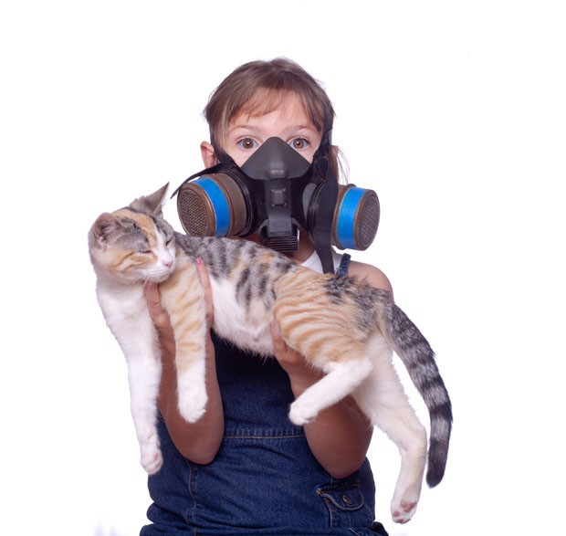 Funny, silly shot of a kid with allergies holding a cat wearing a gas mask (Foto: Getty Images/iStockphoto)