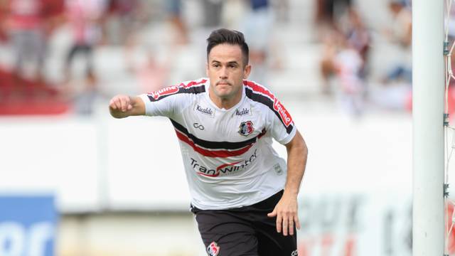 Pipico Santa Cruz x Confiança