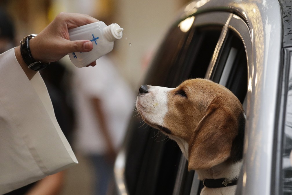 Cachorro observa enquanto padre derrama água benta em uma bênção por drive-thru para evitar a disseminação do novo coronavírus em Quezon City, nas Filipinas, no dia 4 de outubro. — Foto: Aaron Favila/AP
