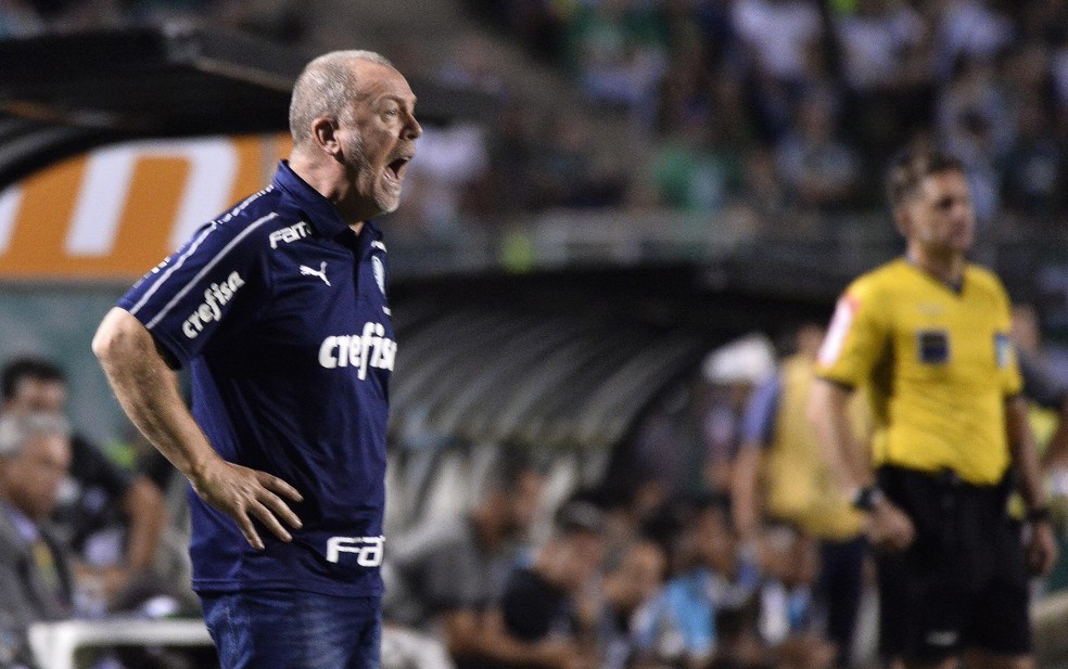 Mano Menezes, t�cnico do Palmeiras, durante a partida contra o Botafogo � Foto: Marcos Ribolli