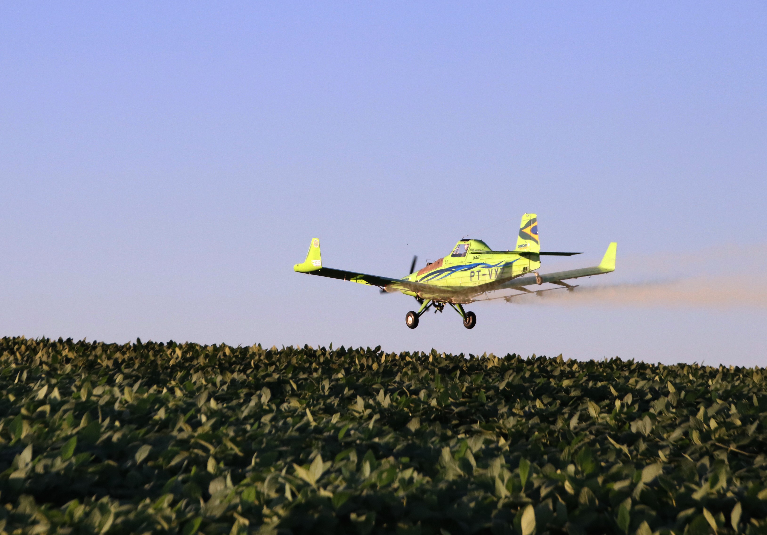 Avião pulverizando plantação de soja no RS (Foto: Divulgação/Sindag)