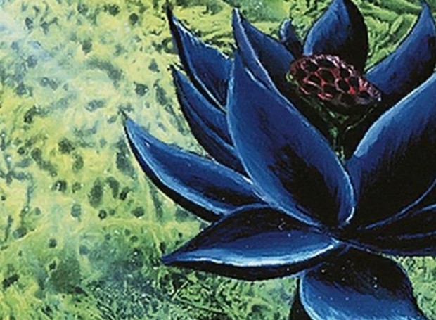 A flor de lótus negra é um símbolo do jogo Magic (Foto: Magic / Reprodução)