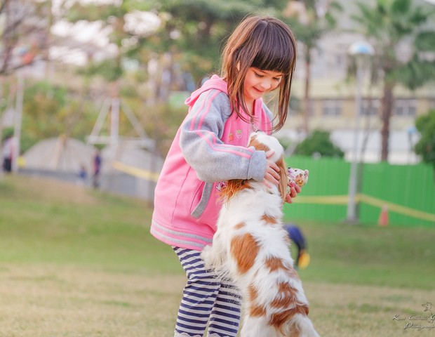 Criança brincando com cachorro, animal de estimação (Foto: Kai-Chieh Chan/Pexels)