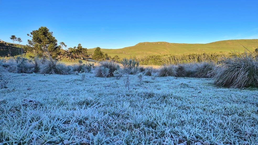 Sábado amanheceu com geada e frio na Serra catarinense — Foto: Mycchel Leganghi/São Joaquim Online
