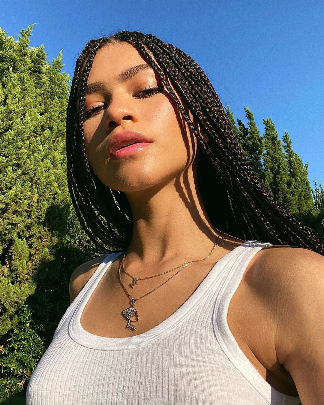 Zendaya Deixa Fãs De Queixo Caído Com Novo Look De Tranças Monet