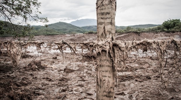 Fazenda coberta pela lama, próxima a Bento Rodrigues, após o desastre da Samarco (Foto: Pedro Carvalho)