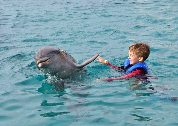 Ana Hickmann compartilha registros de mergulho com golfinho em Curação (Foto: Reprodução/Instagram)